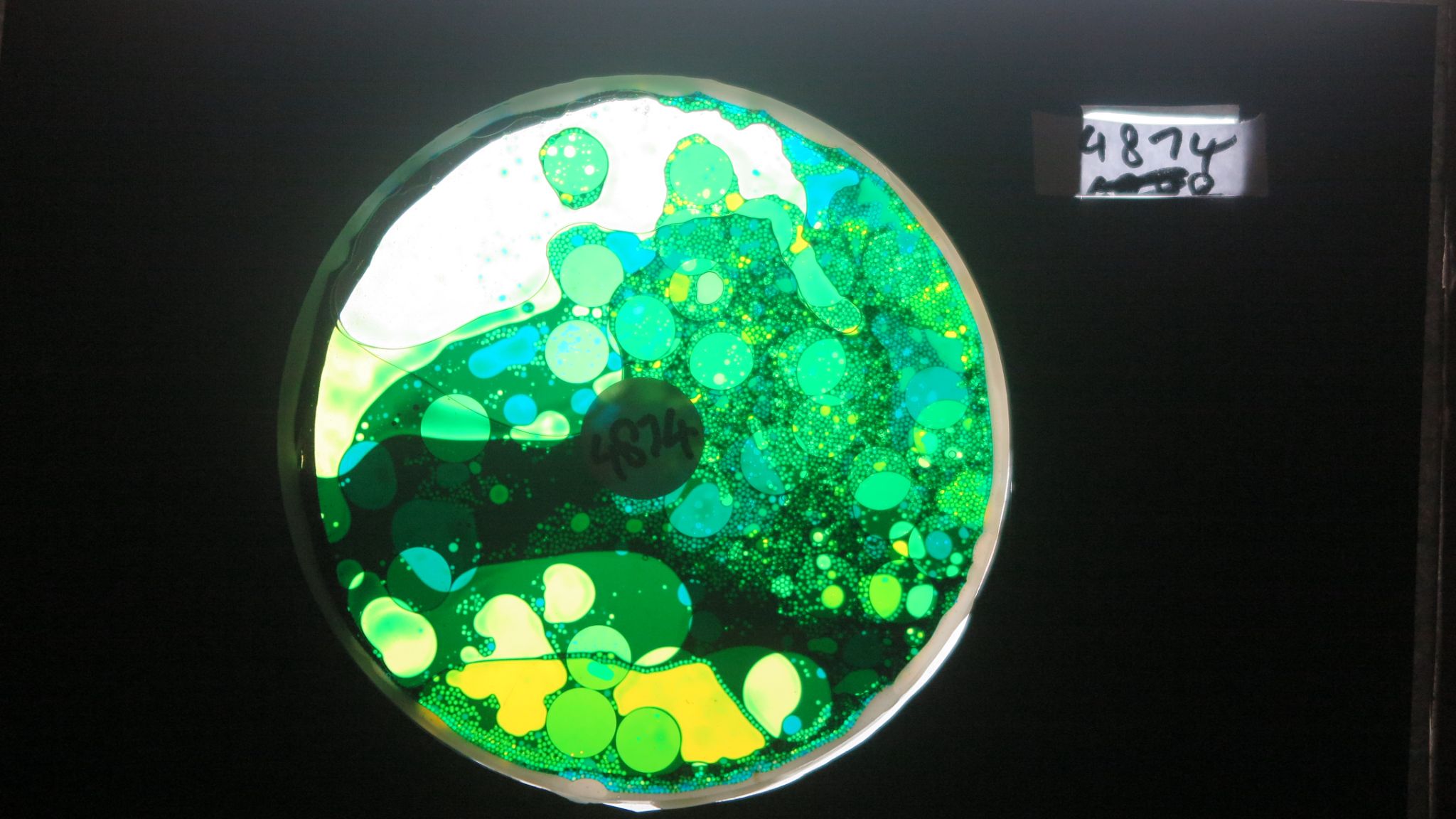 BV4874 bubble vision oil wheel